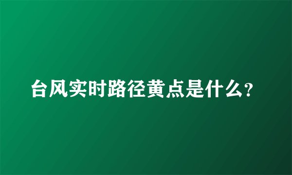 台风实时路径黄点是什么？