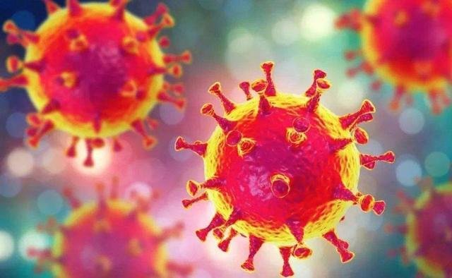 新冠病毒为什么会在世界范围内爆发和流行？