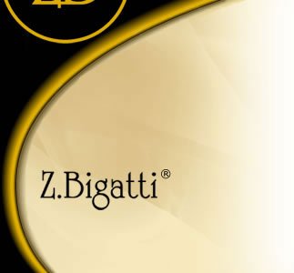 哲·碧卡狄的简介