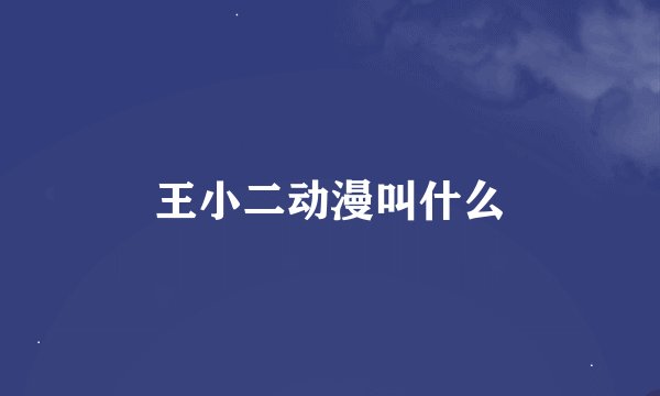王小二动漫叫什么