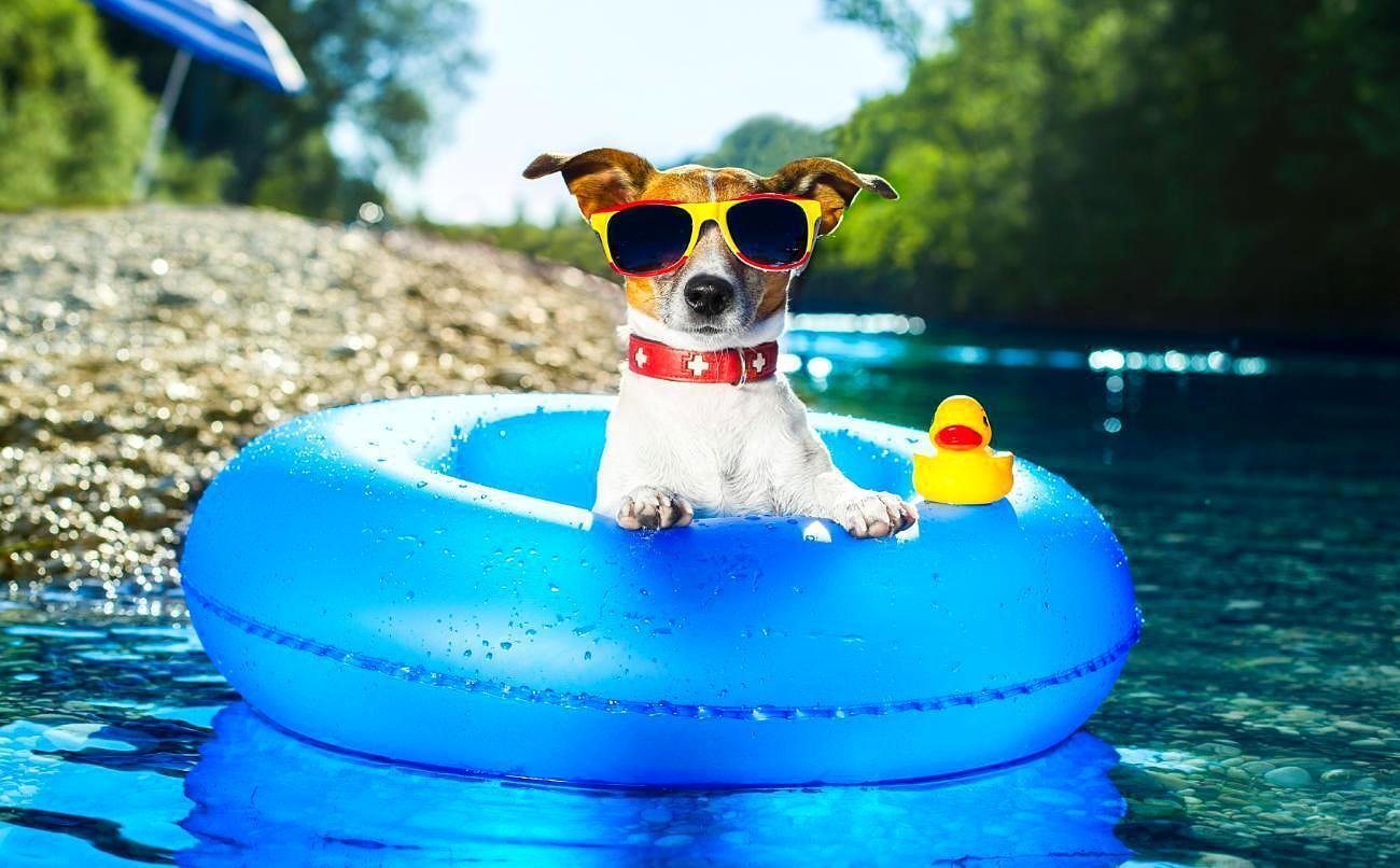 天气太热了,热得什么呀什么呀怎么造句？