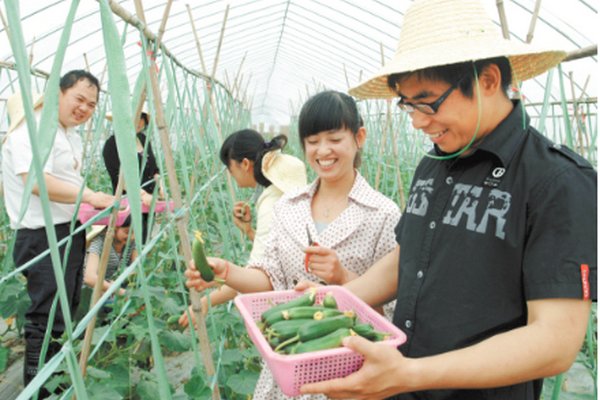 考大学生村官需要看哪些书