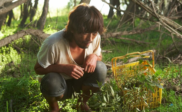 20部必看荒野生存的电影