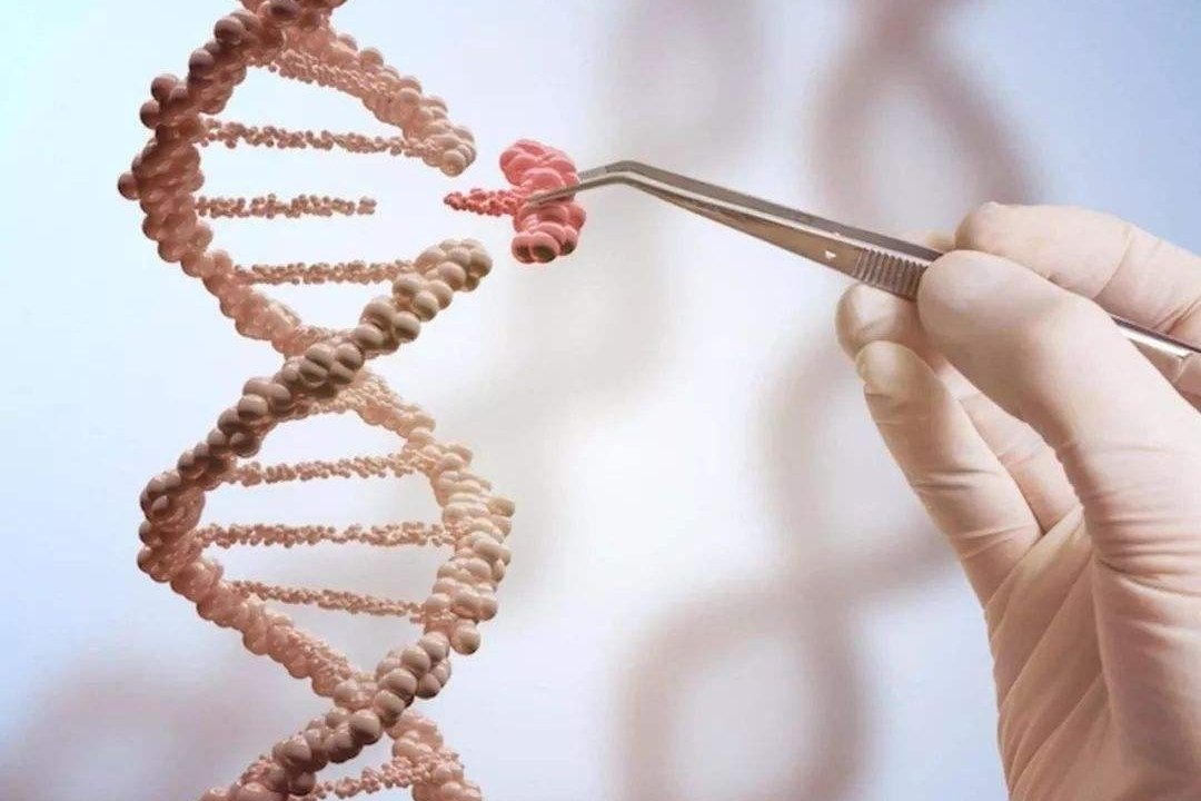 人类以后是否还会再进化？