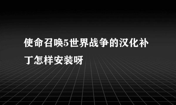 使命召唤5世界战争的汉化补丁怎样安装呀
