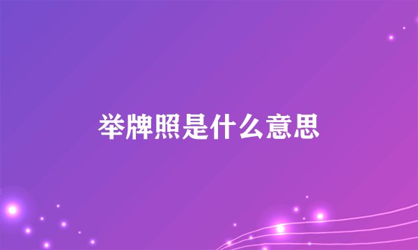 举牌照是什么意思
