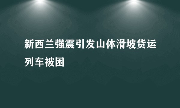 新西兰强震引发山体滑坡货运列车被困