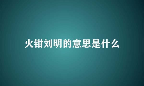 火钳刘明的意思是什么