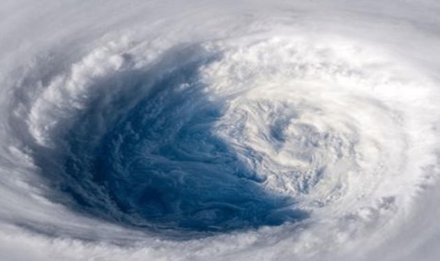 台风造成损失严重会被除名吗？