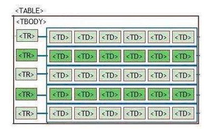 HTML中的<tr>和<td>是什么意思