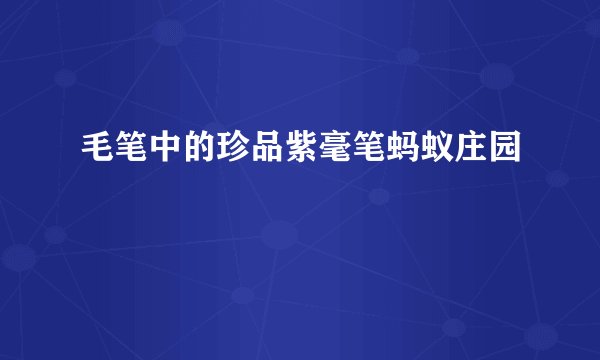 毛笔中的珍品紫毫笔蚂蚁庄园