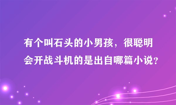有个叫石头的小男孩，很聪明会开战斗机的是出自哪篇小说？