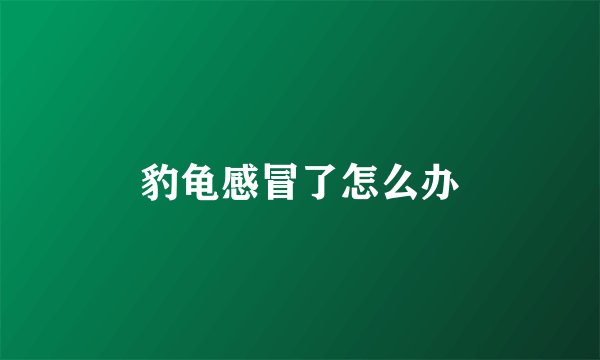 豹龟感冒了怎么办
