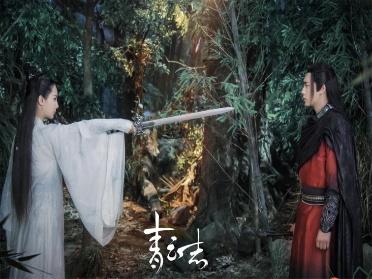 何中华演的电视剧有哪些