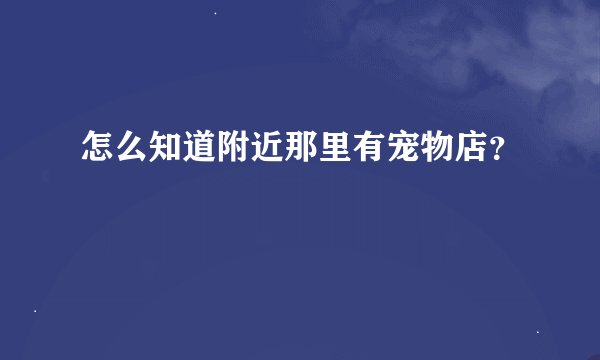 怎么知道附近那里有宠物店？
