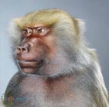 为什么海豚一生下来就会游泳？