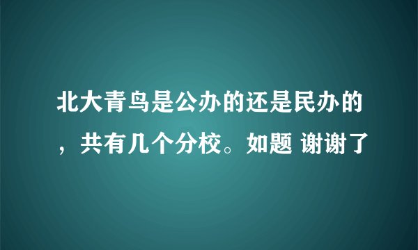 北大青鸟是公办的还是民办的，共有几个分校。如题 谢谢了