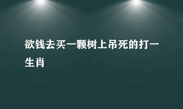 欲钱去买一颗树上吊死的打一生肖