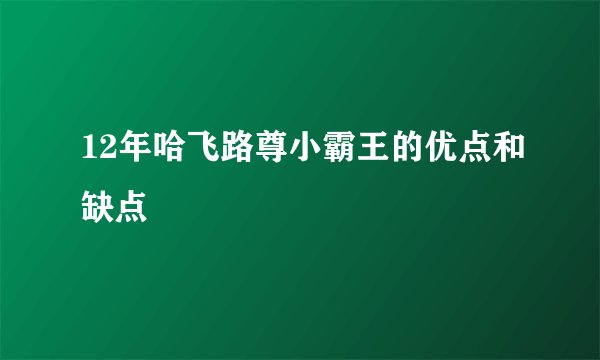 12年哈飞路尊小霸王的优点和缺点