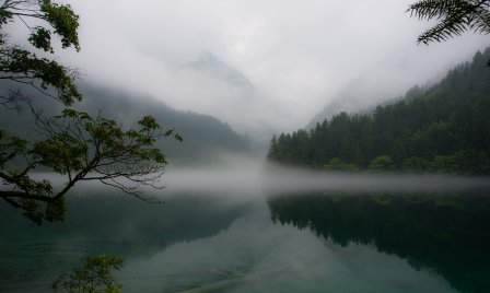 fairyland是什么意思