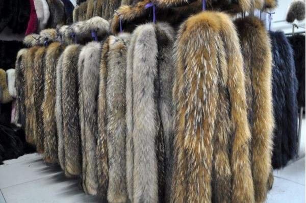 什么是貉子皮?