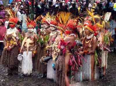 卡图马族的简介