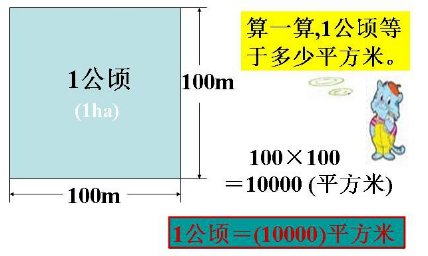 一平方米等于什么?