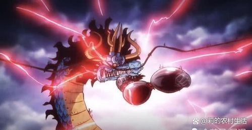 海贼王新四皇路飞接收和之国，和之国的剧情有哪些精彩之处？