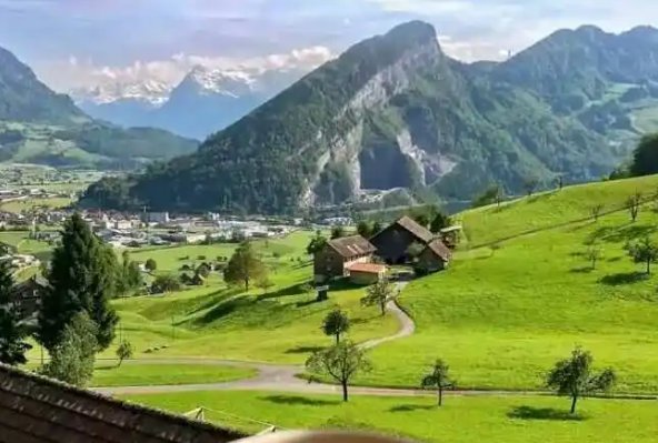 no one是什么意思