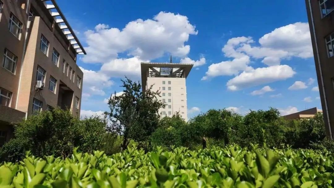 沧州医学高等专科学校怎么样