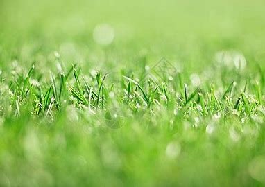 盎然的拼音和意思