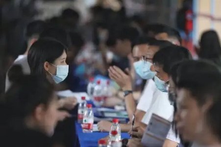 广东山区县招聘收到700多名硕博报名，其中有哪些值得关注的信息？