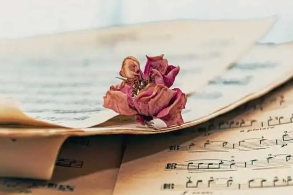 2021年高考满分作文