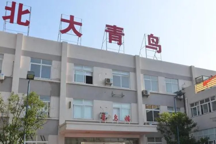 北大青鸟三年学费标准