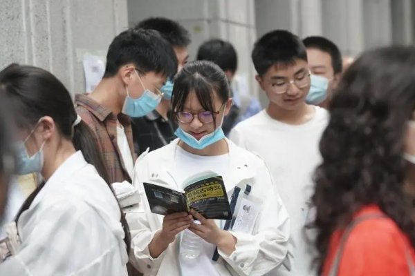 怎么查看自己的高考志愿档案状态