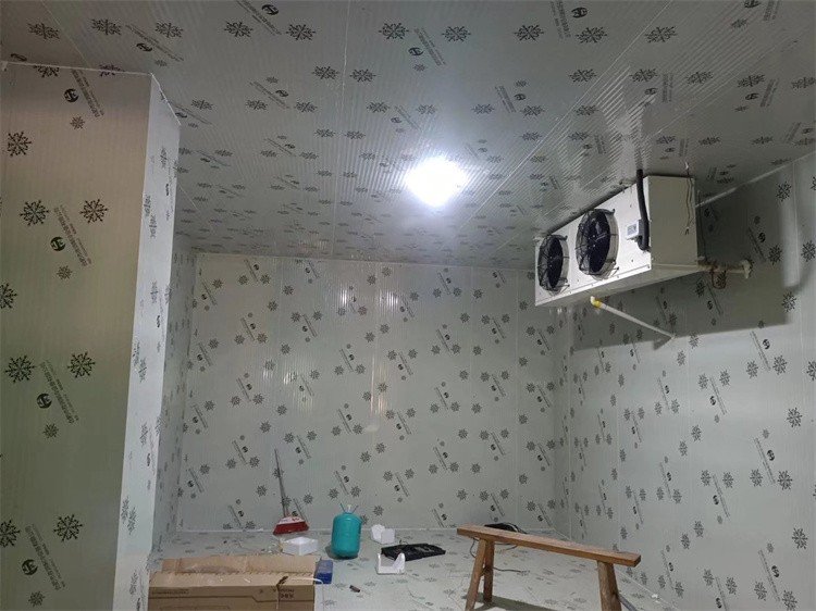 建造一个小型的冷库需要多少钱？