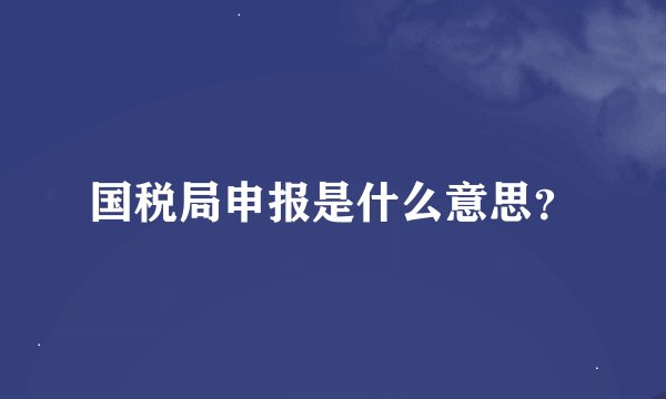 国税局申报是什么意思？