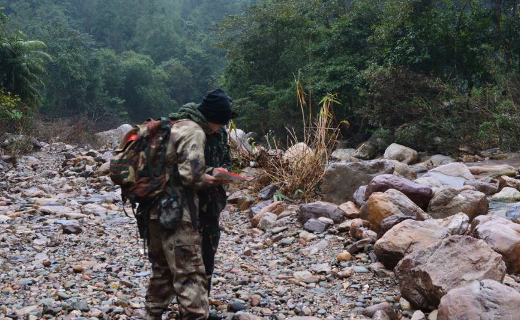 20部必看荒野生存的电影