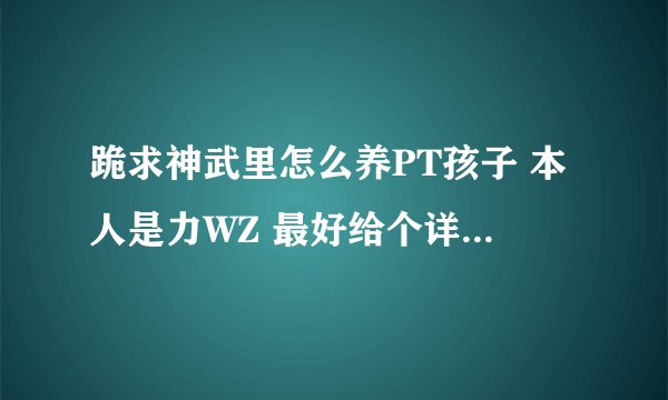 跪求神武里怎么养PT孩子 本人是力WZ 最好给个详细的养育计划 谢谢了