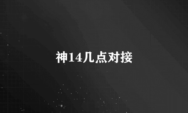 神14几点对接