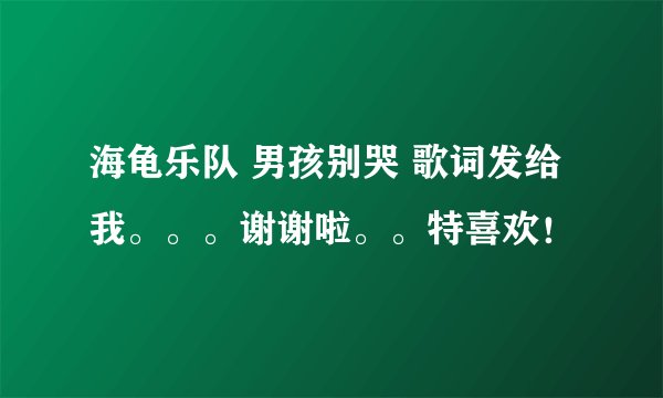 海龟乐队 男孩别哭 歌词发给我。。。谢谢啦。。特喜欢！