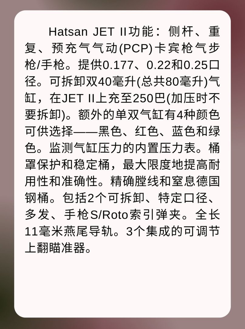 双气缸JETIIPCP气手枪
