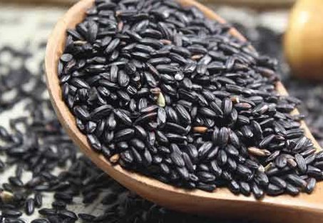 黑米黑豆黑芝麻核红枣枸杞有什么作用