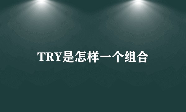 TRY是怎样一个组合