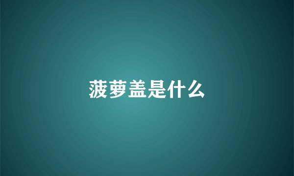 菠萝盖是什么