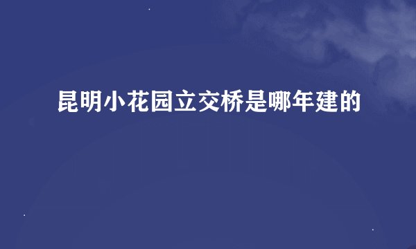 昆明小花园立交桥是哪年建的