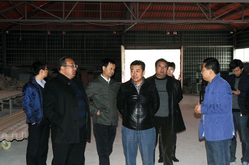 王扎东的个人履历