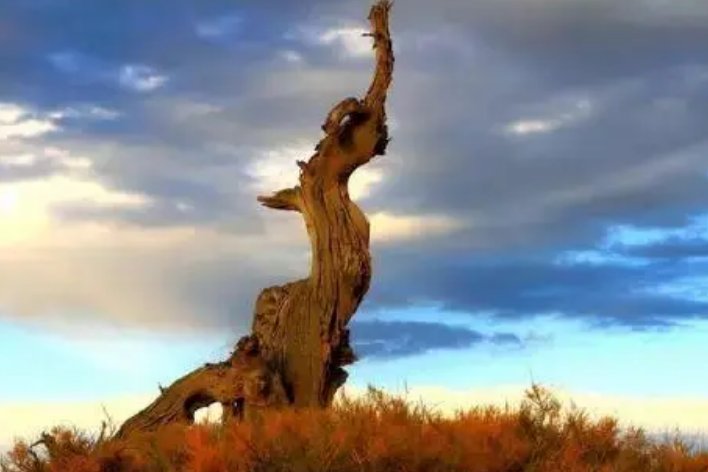 仍然的近义词是什么