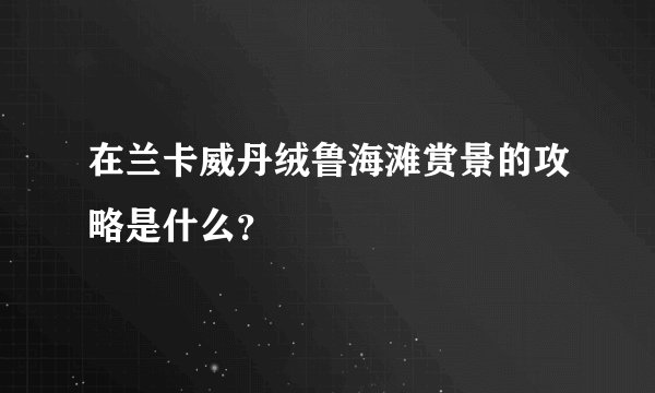 在兰卡威丹绒鲁海滩赏景的攻略是什么？