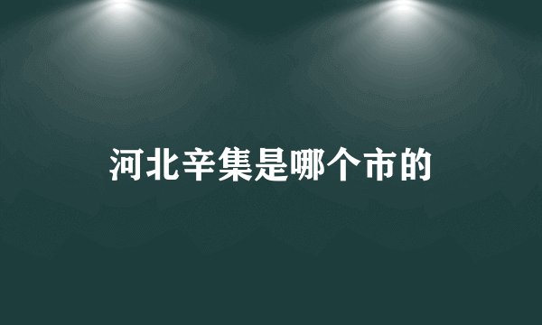 河北辛集是哪个市的